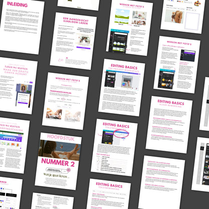Guide - Het Canva Playbook