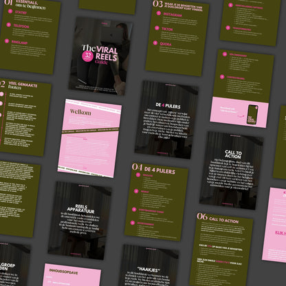 Guide - The Viral Reels